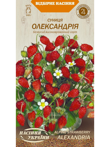 Суниця "Олександрія" ТМ "Насіння України" 0,1 г.