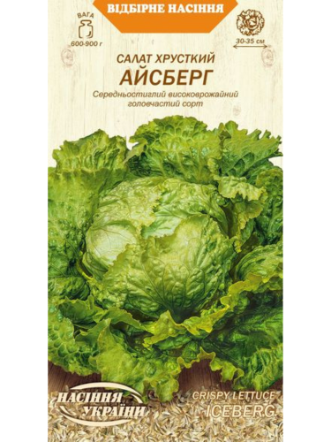 Салат головчастий "Хрусткий Айсберг" ТМ "Насіння України" 1 г.