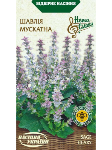 Шавлія "Мускатна" ТМ "Насіння України" 0,2 г.