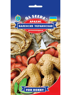 Арахіс "Валенсія українська" ТМ "GL Seeds" 10 шт.