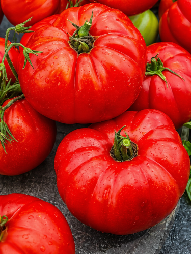 Томат "Три товстуни" ТМ "GL Seeds" 0,15 г.