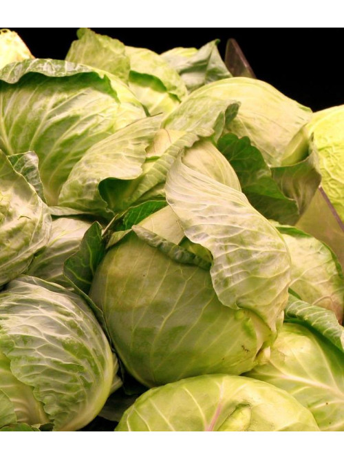 Капуста білокачанна "Агресор F1" ТМ "GL Seeds" 50 шт.