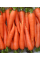 Морковь "Яркая" ТМ "GL Seeds" 3 г.