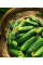 Огірок "Кущовий дар" ТМ "GL Seeds" 1 г.