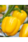 Перець солодкий "Каліфорнійське диво жовте" ТМ "GL Seeds" 0,25 г.