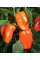Перець солодкий "Альба" ТМ "GL Seeds" 0,25 г.