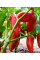 Перец сладкий "Айвенго" ТМ "GL Seeds" 0,25г.