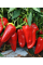 Перец сладкий "Для гриля" ТМ "GL Seeds" 0,25г.