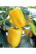 Перец сладкий "Гладиатор" ТМ "GL Seeds" 0,25г