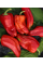 Перец сладкий "Воловое ухо" ТМ "GL Seeds" 0,25г.
