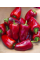 Перец сладкий "Франциус" ТМ "GL Seeds" 0,25г.