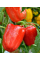 Перец сладкий "Любовь" ТМ "GL Seeds" 0,25г.