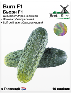 Огірок "Бьорн F1" ТМ "Bestе Kern" 10 шт.