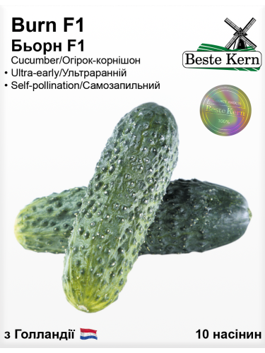 Огірок "Бьорн F1" ТМ "Bestе Kern" 10 шт.