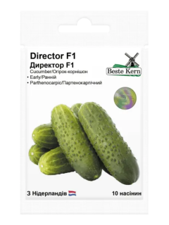 Огірок "Директор F1" ТМ "Bestе Kern" 10 шт.