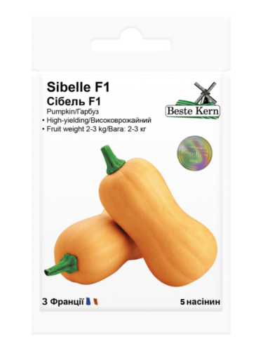Тыква "Сибель 2-3 кг" ТМ "Bestе Kern" 5 шт.