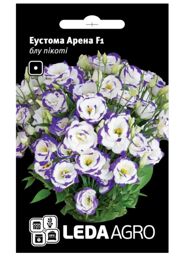 Эустома "Арена F1" блу пикоте ТМ "Leda Agro" 5 шт.