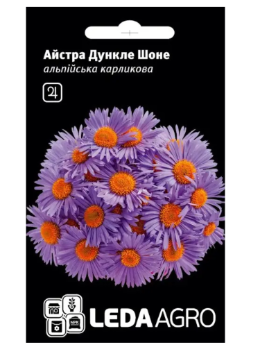Астра "Дункле шоне" ТМ "Leda Agro" 10 шт.