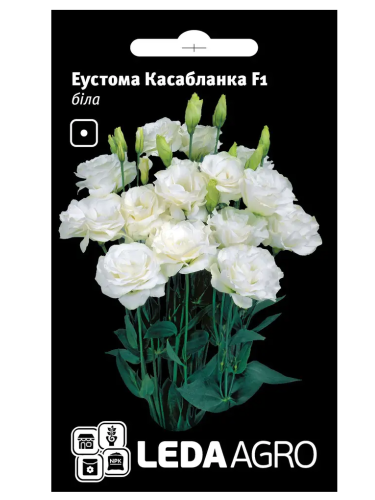 Еустома "Касабланка F1" біла ТМ "Leda Agro" 5 шт.