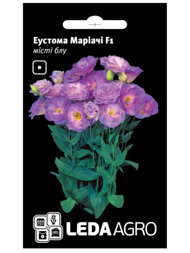 Еустома "Маріачі F1" місті блу ТМ "Leda Agro" 5 шт.