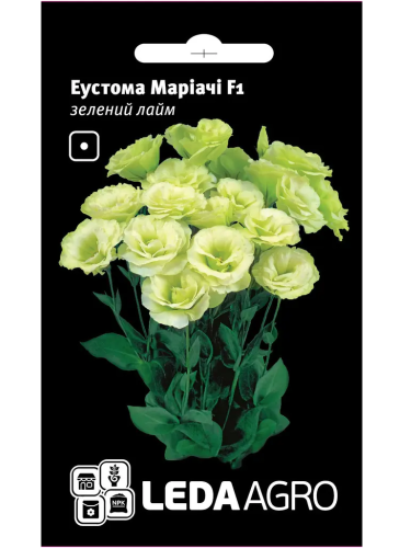 Еустома "Маріачі F1" зелений лайм ТМ "Leda Agro"  5 шт.