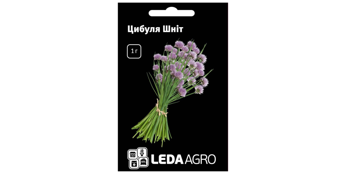 Лук "Шнит" (на перо) ТМ "Leda Agro" 1 г.