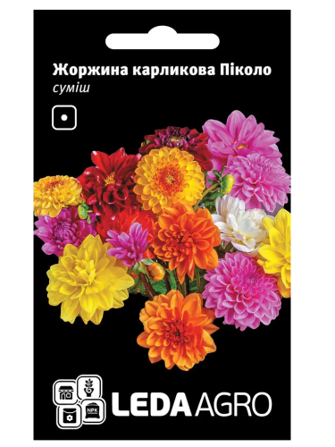 Жоржина "Піколо (суміш)" ТМ "Leda Agro" 0,2 г.