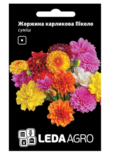 Жоржина "Піколо (суміш)" ТМ "Leda Agro" 5 г.