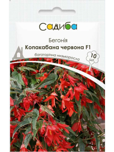 Бегония "Копакабана красная F1" ТМ "Усадьба центр" 10 шт.
