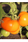 Томат "Хурма" ТМ "GL Seeds" 0,1 г.