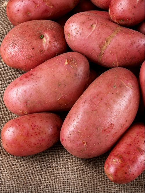 Картофель Фотиния семенная (среднеспелый, 1 репродукция) 5 кг.