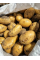 Картопля Корінна насіннєва (ультрарання, 1 репродукція) 5 кг.