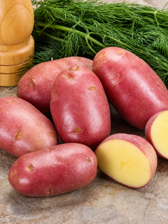 Картофель Эсми семенной (ранняя, 1 репродукция) 10 кг.