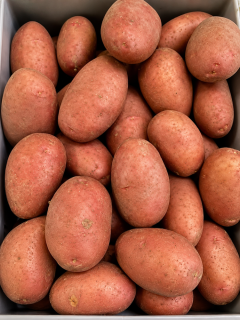 Картофель Ред леди семенной (средневренная, 1 репродукция) 1 кг.