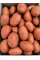Картофель Ред леди семенной (средневренная, 1 репродукция) 1 кг.