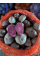 Картофель Солоха семенная (среднепоздний, 1 репродукция) 10 кг.