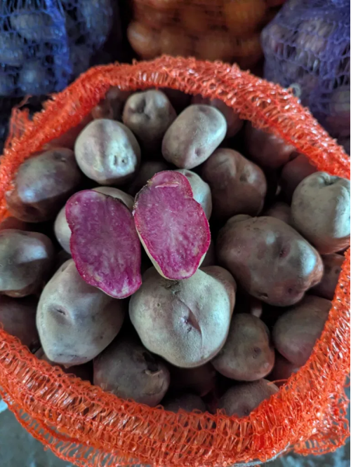 Картофель Солоха семенная (среднепоздний, 1 репродукция) 10 кг.