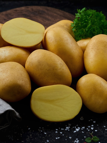 Картофель Таормина семенная (средняя, 1 репродукция) 10 кг.