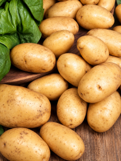 Картофель Винета семенная (ранняя, 1 репродукция) 5 кг.