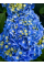 Гортензія широколиста 3-х річна "Fabolo blue" в горщику Р14, саджанець 30-40 см (1 шт. в упаковці)