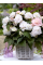 Бегонія Wummi Apfelbute