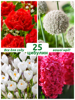Мікс квітів Феєрверк (25 шт. в упаковці)