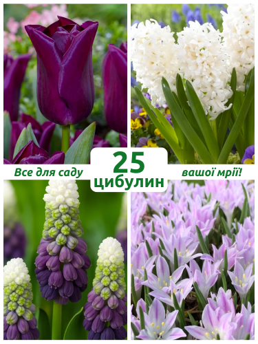 Микс цветов Фирменный от Айрис (25 шт. в упаковке)