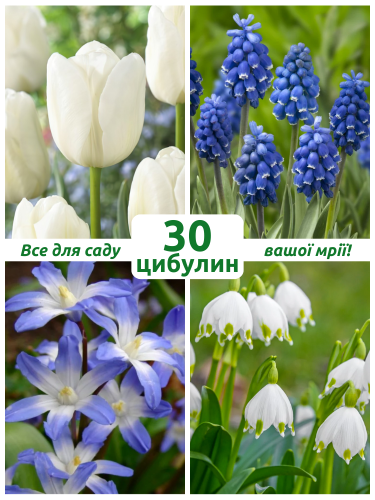 Мікс квітів Морські хвилі (30 шт. в упаковці)