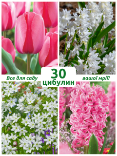 Мікс квітів Ніжний ранок (30 шт. в упаковці)
