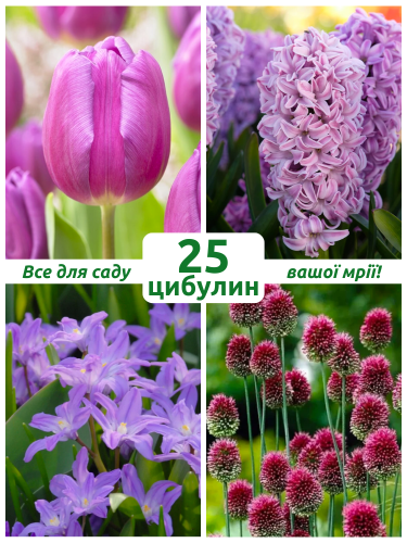 Микс цветов Бархатный (25 шт. в упаковке)