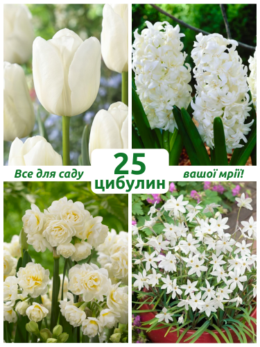 Микс цветов Жемчужина сада (25 шт. в упаковке)