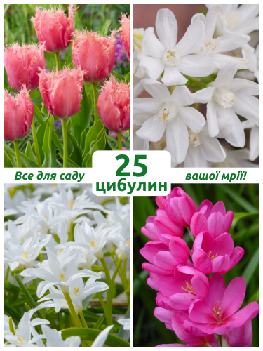 Мікс квітів Рожева мрія (25 шт. в упаковці)