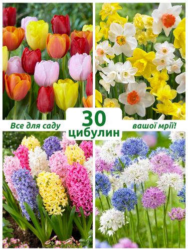 Мікс квітів Сонячний сад (30 шт. в упаковці)