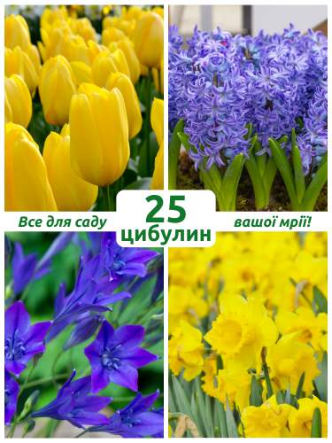 Микс цветов Украинский сад (25 шт. в упаковке)